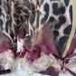 Lightweight Jacket in Leopard Print Burgundy